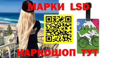 гашик Нальчик