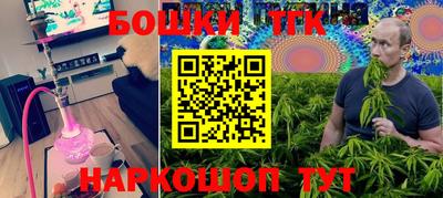 гашик Нальчик