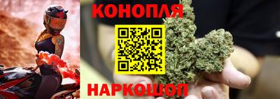 гашик Нальчик