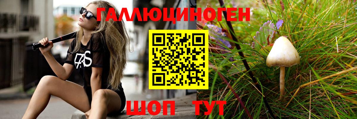 Аргун  Галлюциногенные грибы MAGIC MUSHROOMS  Вход с VPN  Псилоцибиновые грибы Psilocybe 