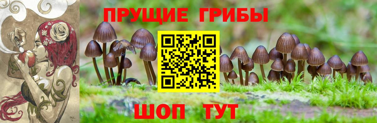 Галлюциногенные грибы GOLDEN TEACHER Аргун
